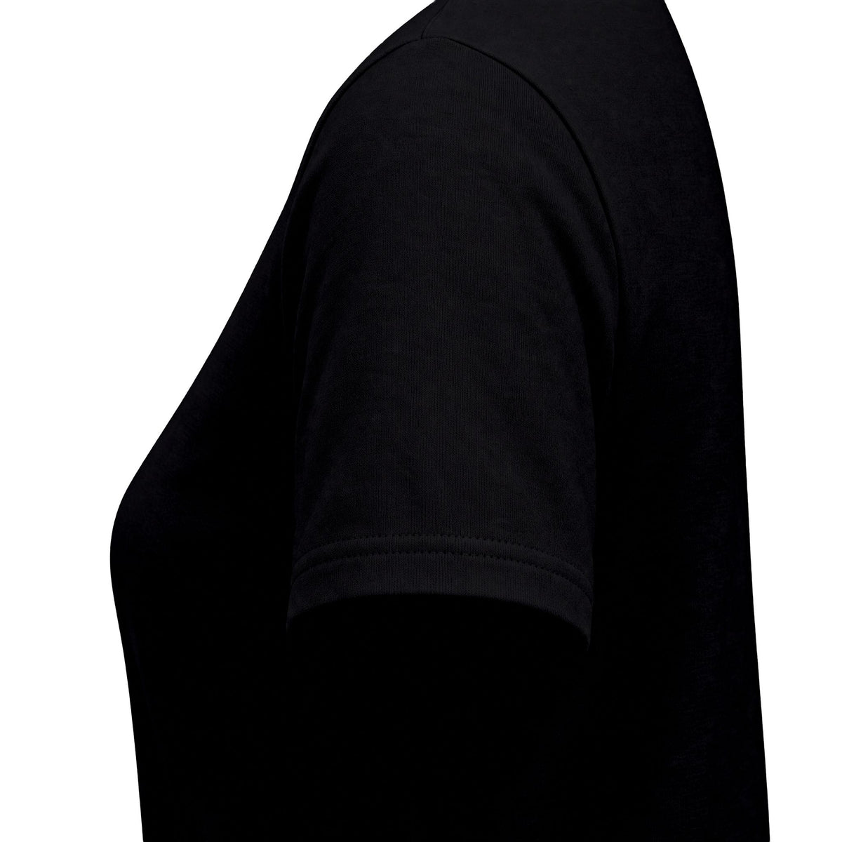 This Is My Indoor Voice Women's T-Shirt