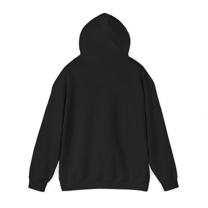 Adventure Mount Rainier "Stay Wild" Heavy Blend Hooded Sweatshirt