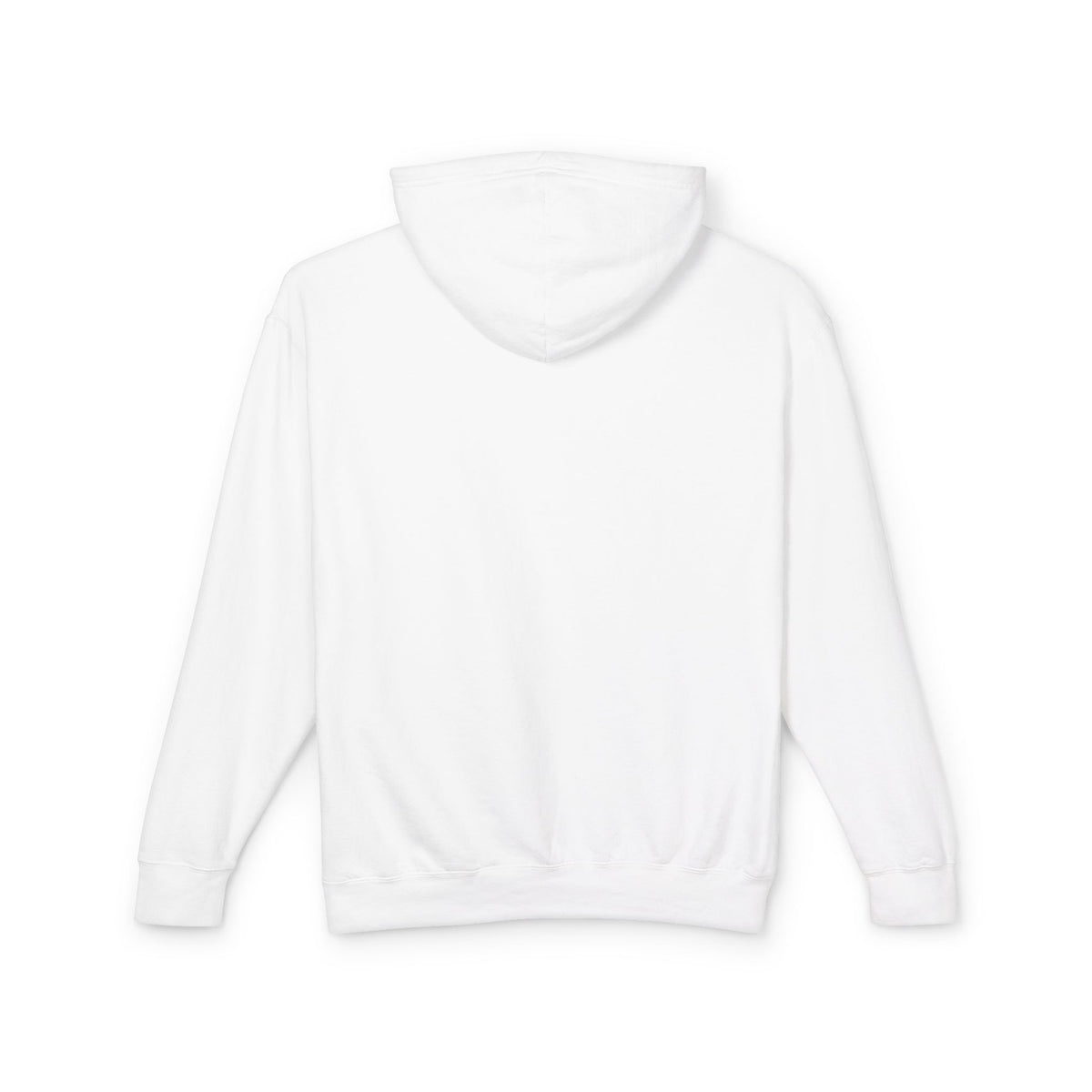 "If You Can Read This Shirt I Was Forced To Put My Controller Down" Lightweight Hooded Sweatshirt