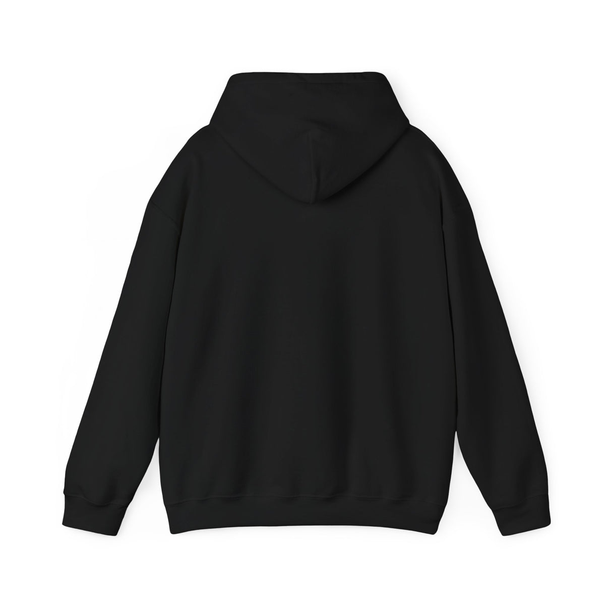 Adventure Mount Rainier "Stay Wild" Heavy Blend Hooded Sweatshirt