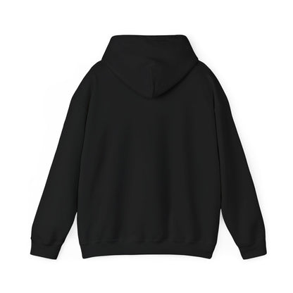 Adventure Mount Rainier "Stay Wild" Heavy Blend Hooded Sweatshirt