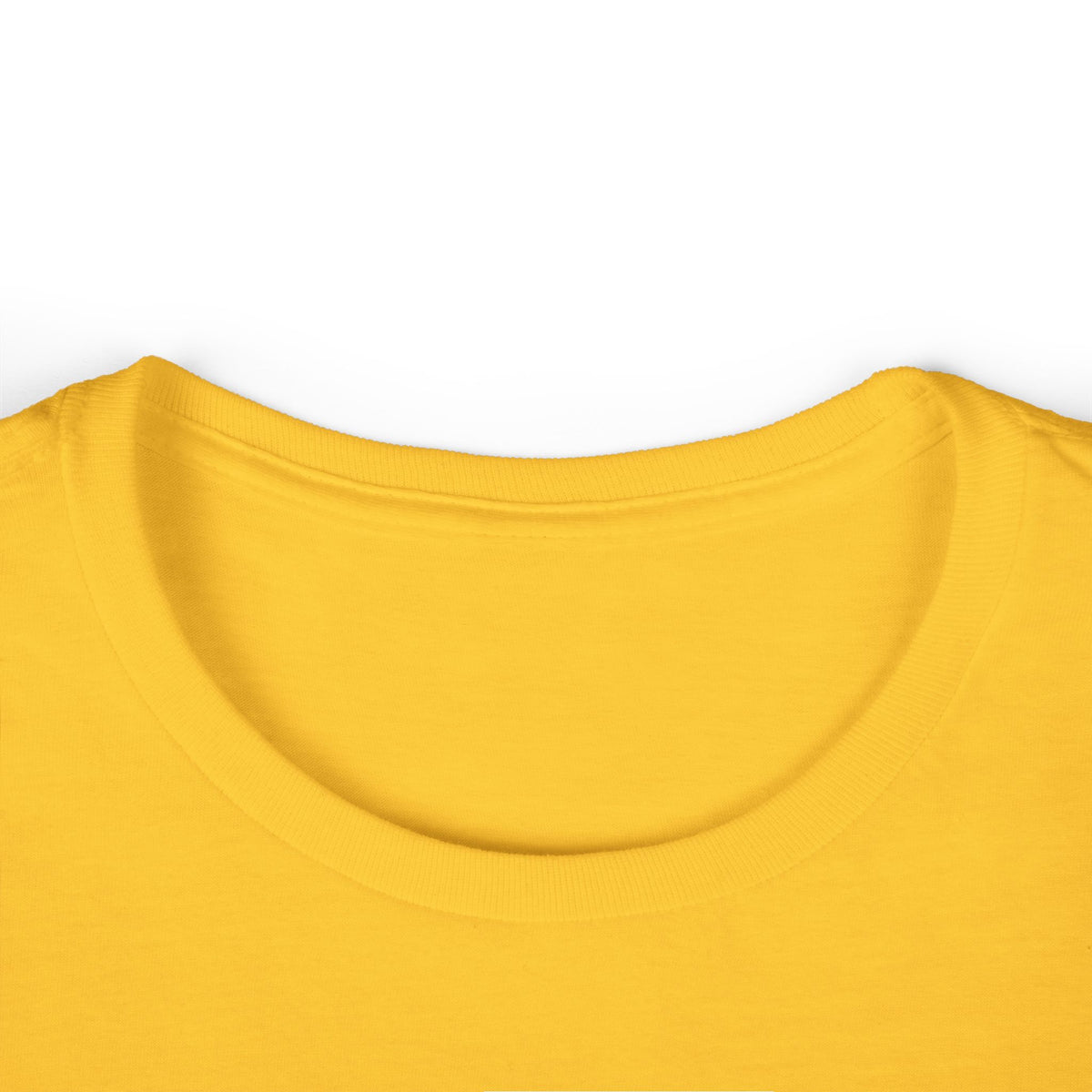This Is My Indoor Voice Women's T-Shirt